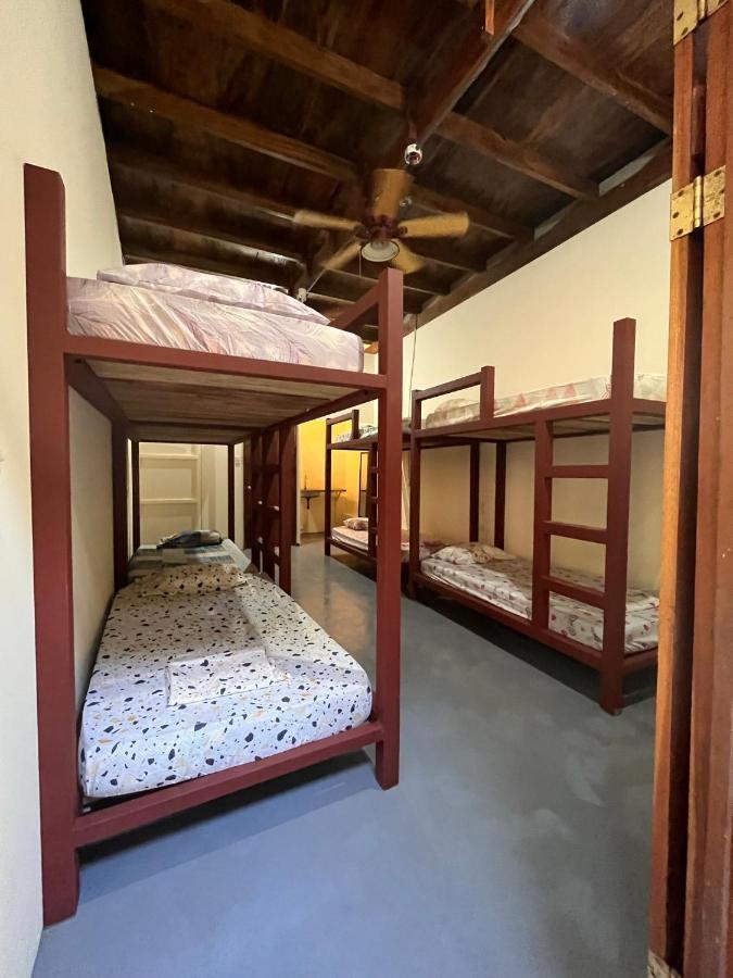 Hostel Tuanis Surf Camp Playa Santa Teresa  Eksteriør billede